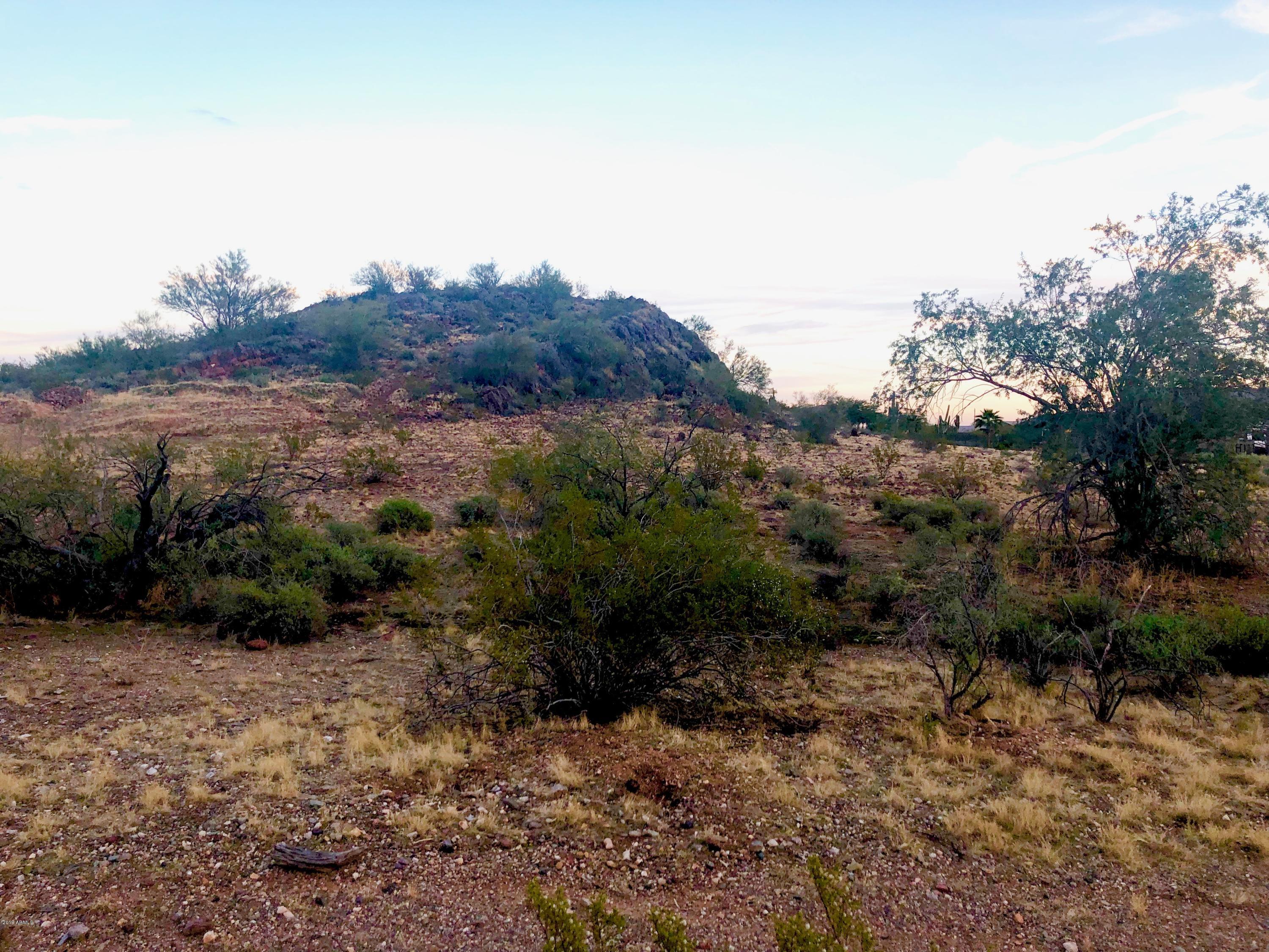 16150 West Peak View Road Surprise, AZ 85387 - Photo 7 of 17 IMG-4502
