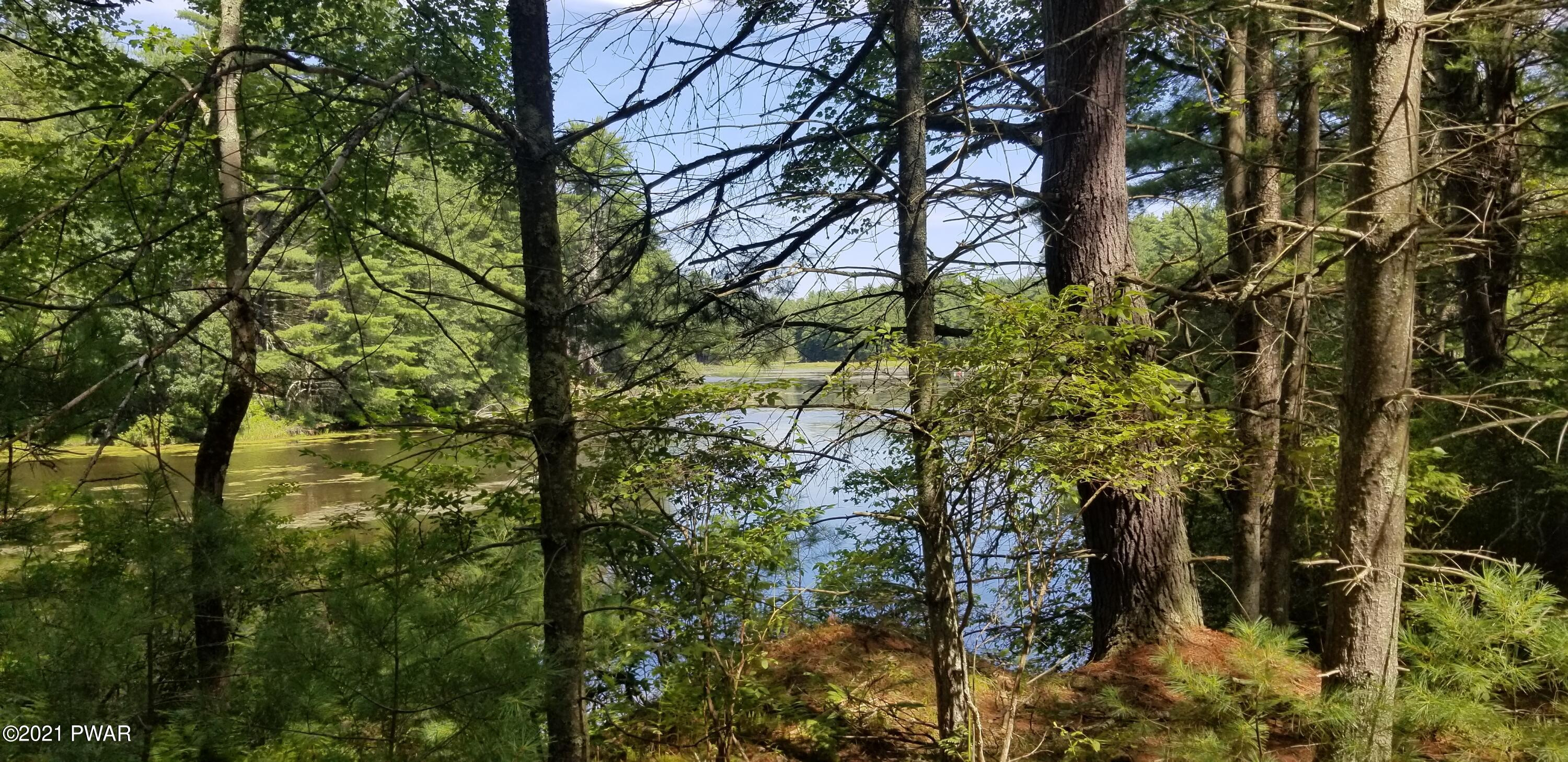 Lot # Swamp Pond Road Narrowsburg, NY 12764 - Photo 4 of 11