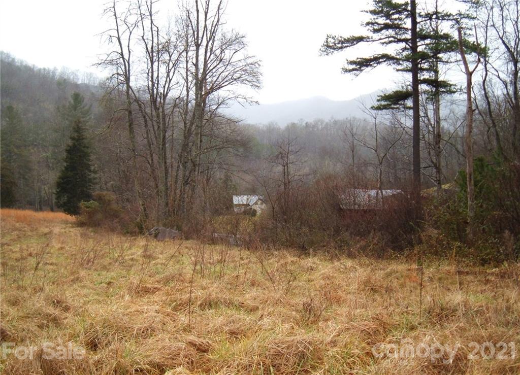 79 Rambling Road Cullowhee, NC 28723 - Photo 3 of 9 Gallery Image 3
