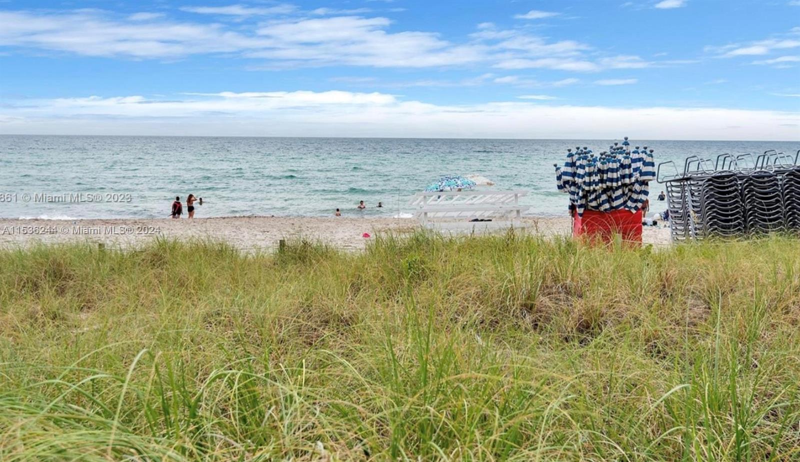 a view of beach and ocean