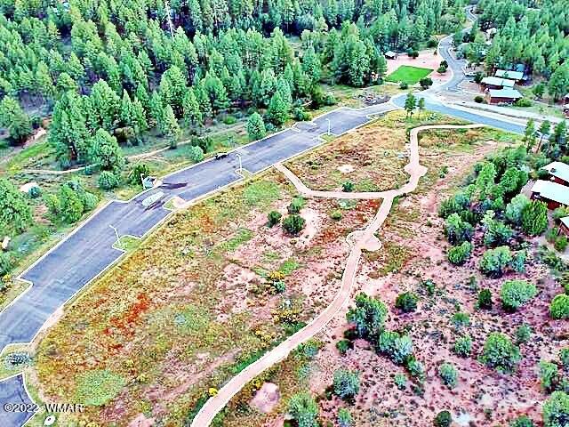 Tbd West Tatanka Loop Show Low, AZ 85901 - Photo 15 of 18
