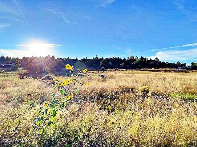 Tbd West Tatanka Loop Show Low, AZ 85901 - Photo 5 of 18