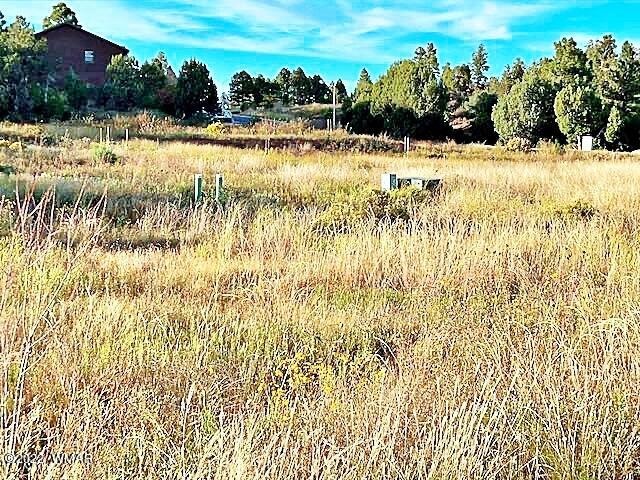 Tbd West Tatanka Loop Show Low, AZ 85901 - Photo 6 of 18