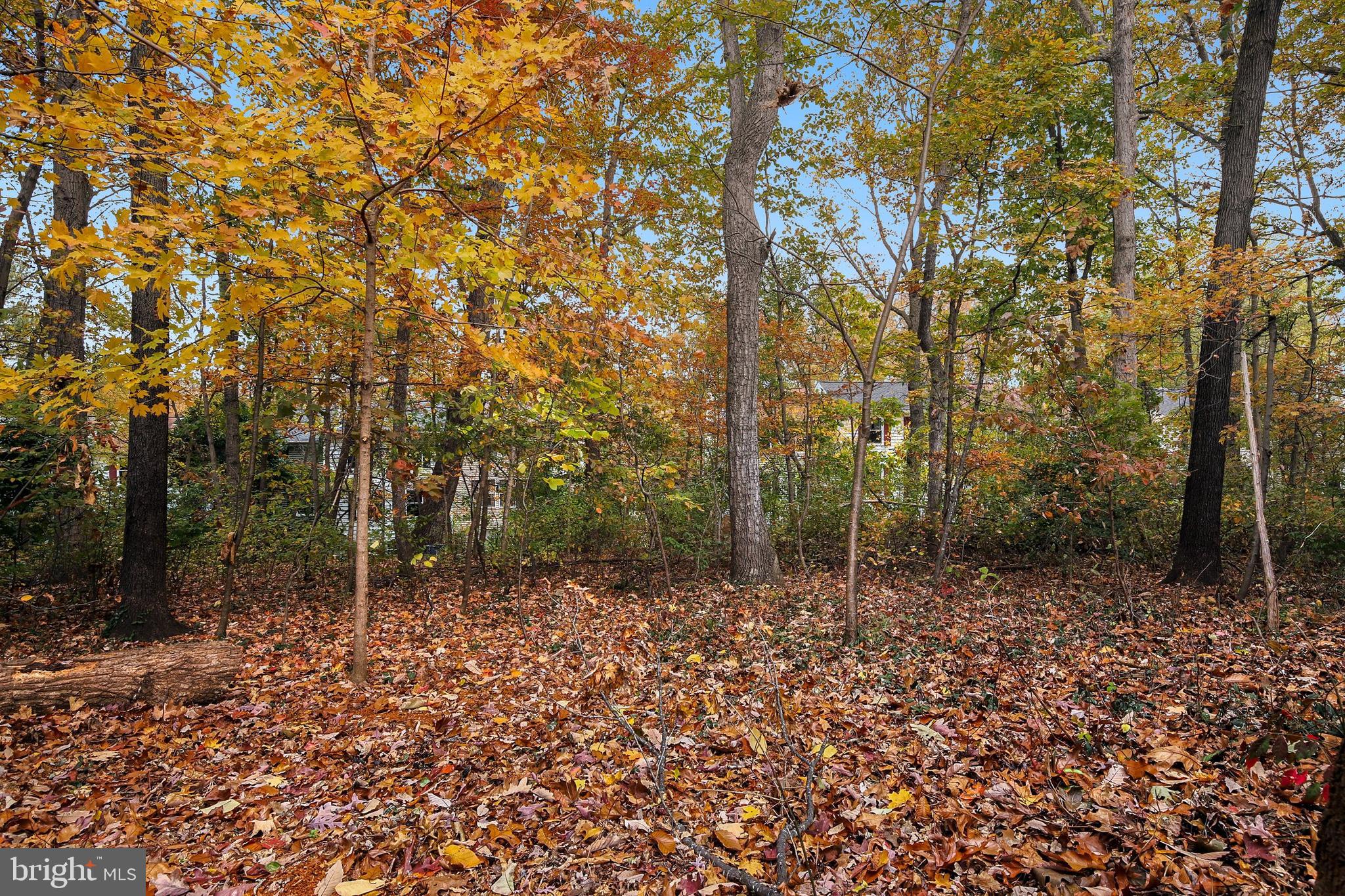 1940 Villaridge Drive Reston, VA 20191 - Photo 37 of 37 Gallery Image 37