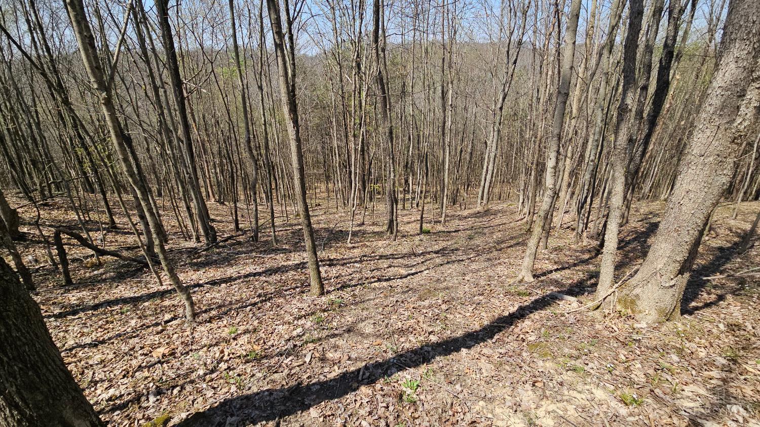 0 Spruce Hollow Road South Webster, OH 45682 - Photo 38 of 54