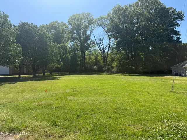 $18,000 | Willis Cove, Grenada, MS 38901