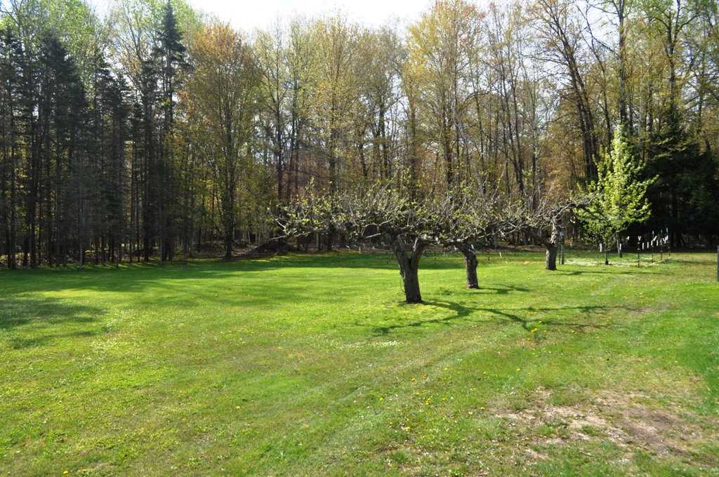 2649 West Walter Road Coleman, MI 48618 - Photo 43 of 51 1863009-42.JPG