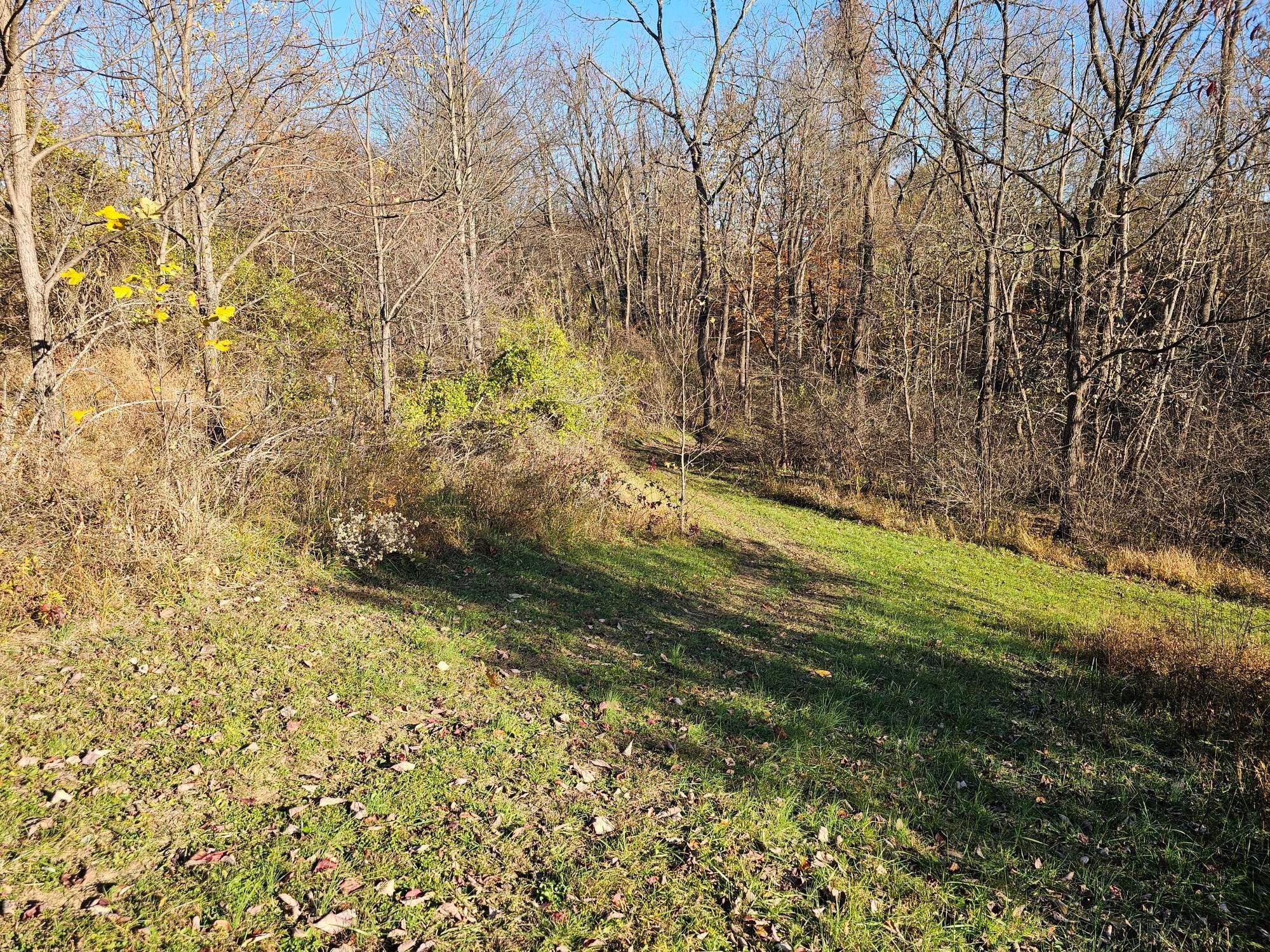 10150 County Road 12 Road Corning, OH 43730 - Photo 30 of 34 8282