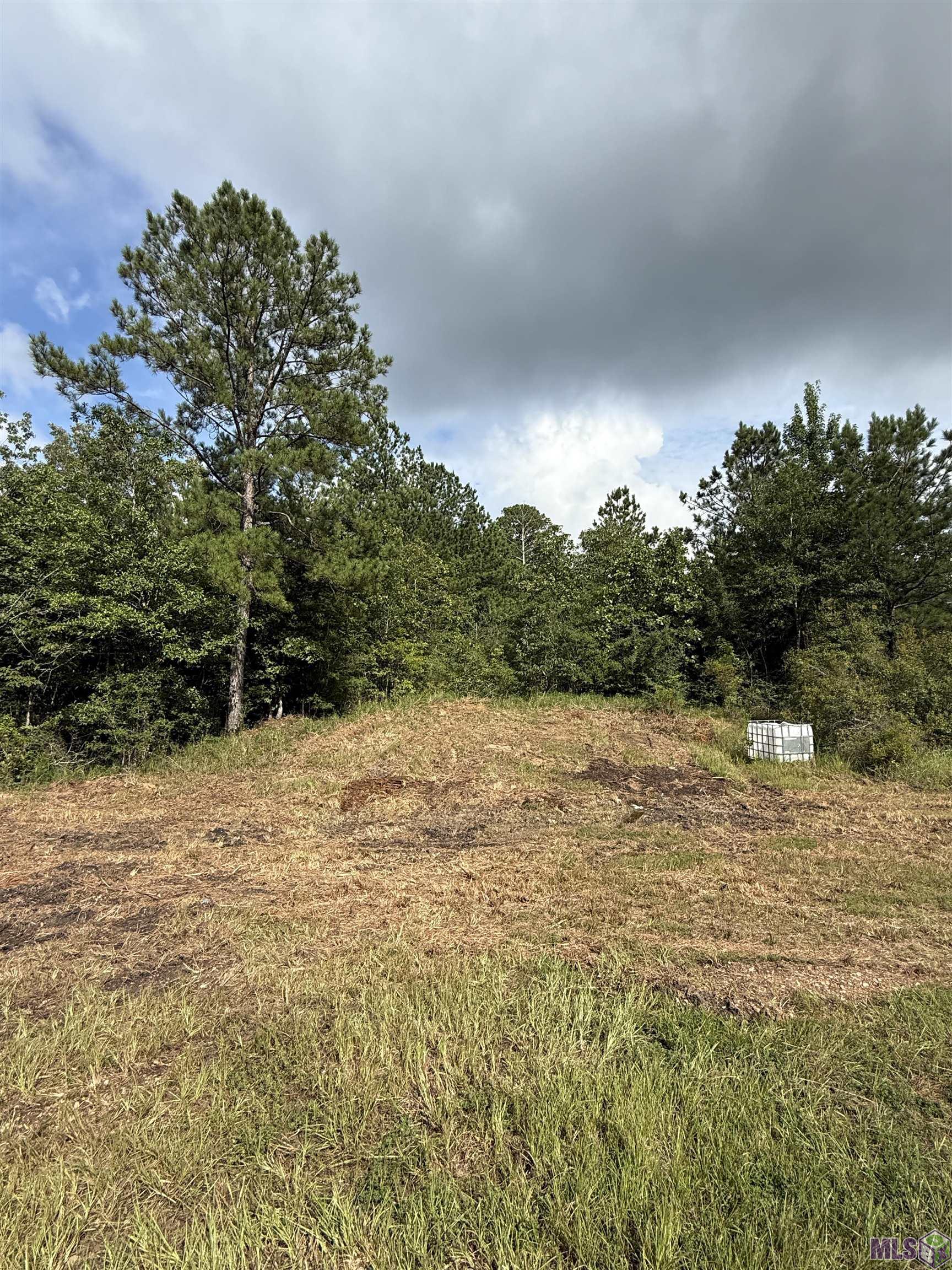 Tbd Macedonia Road Crosby, MS 39633 - Photo 6 of 8 Gallery Image 6