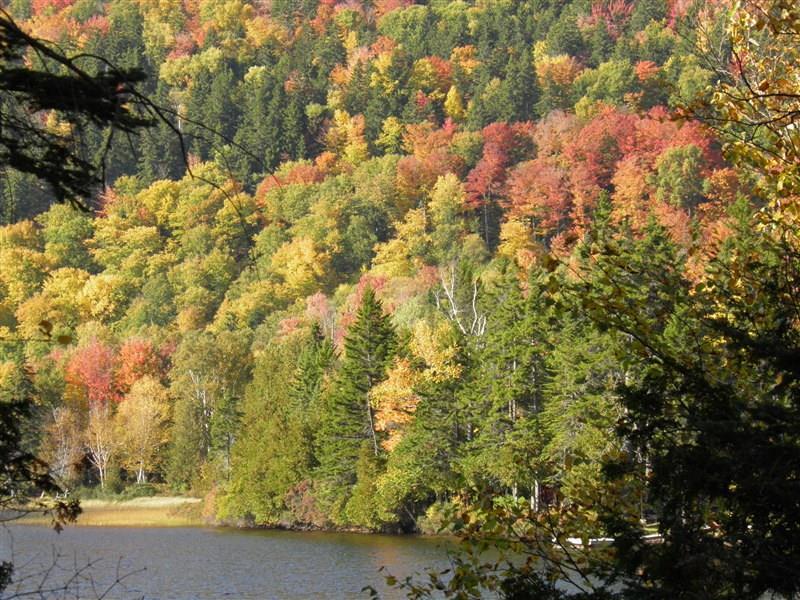 429 Main Street Farmington, ME 04938 - Photo 11 of 20 Looking across the pond at the hills...