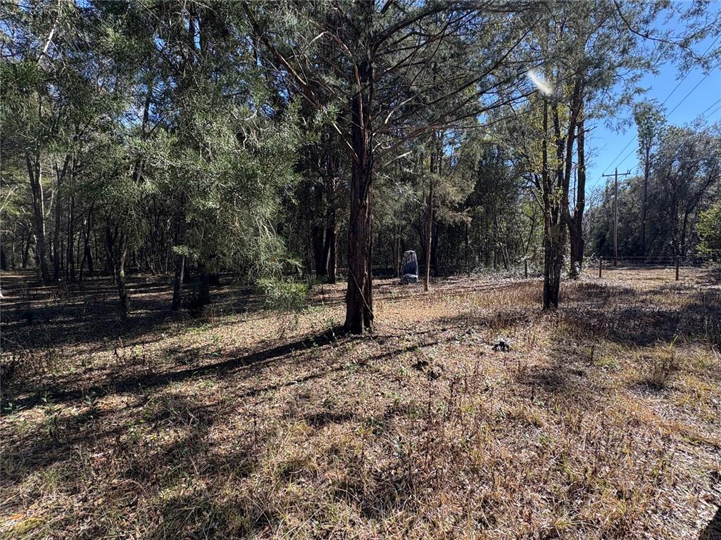 11727 Southwest 122nd Street Gainesville, FL 32608 - Photo 15 of 24