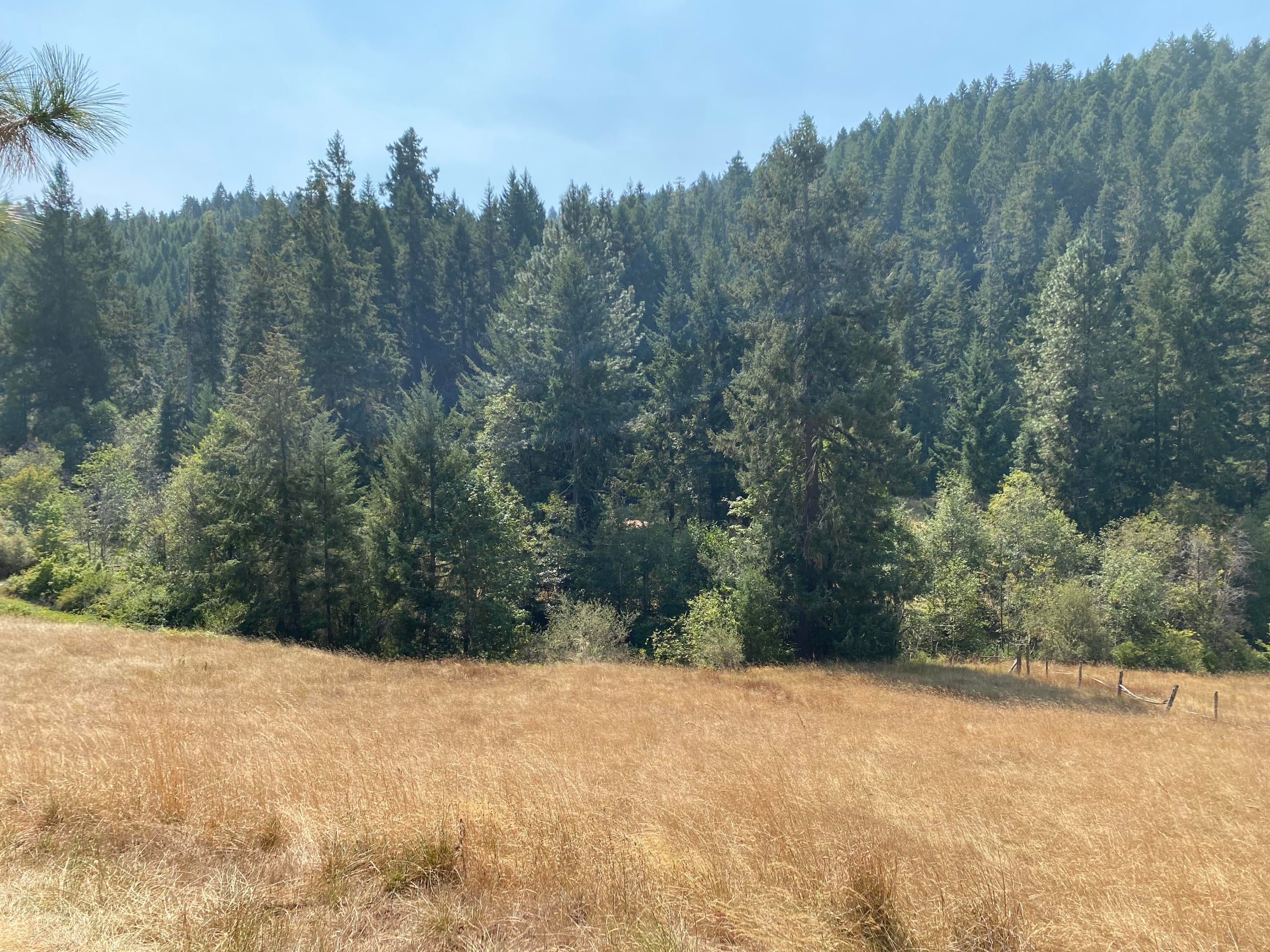 19021 Upper Cow Creek Road Azalea, OR 97410 - Photo 5 of 37 image00002