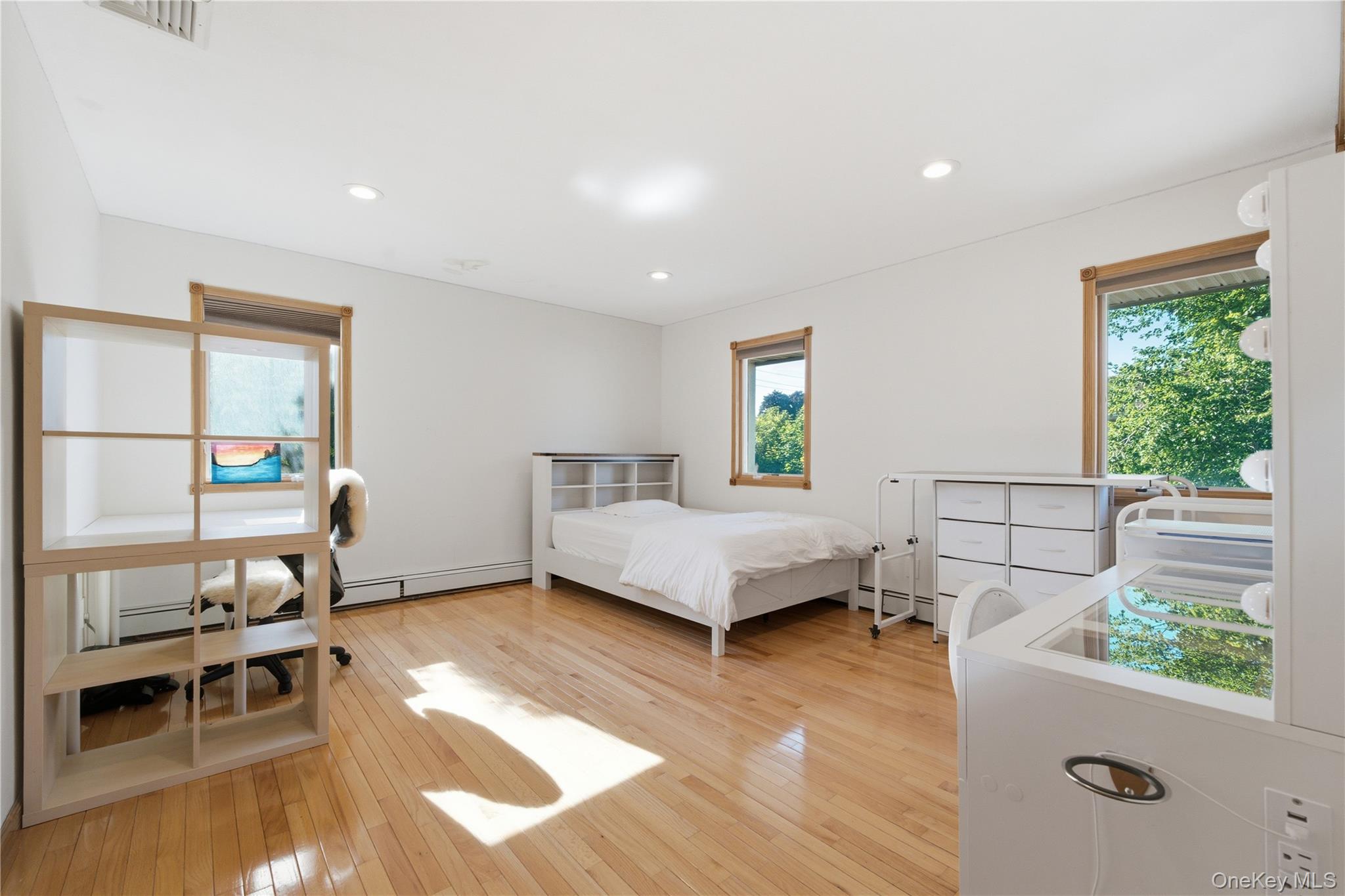 308 South Oyster Bay Road, Unit A Syosset, NY 11791 - Photo 22 of 37