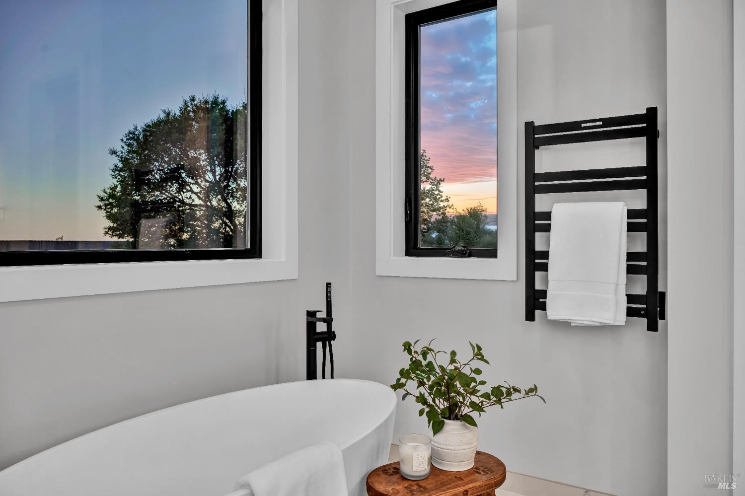 2011 Long Leaf Court Santa Rosa, CA 95403 - Photo 30 of 55 a bathroom with a sink a mirror and a potted plant