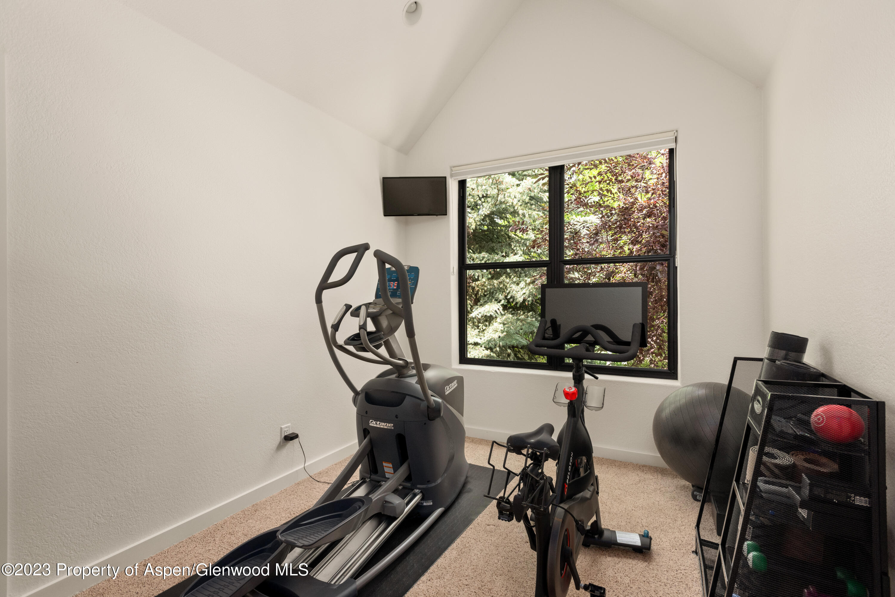 324 Summerset Lane Basalt, CO 81621 - Photo 32 of 40 a view of a room with gym equipment