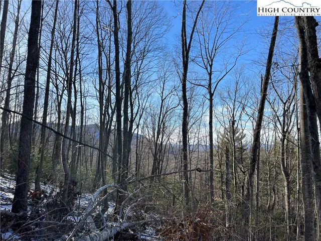 $27,500 | 8 Woodland Ridge, Lansing, NC 28643