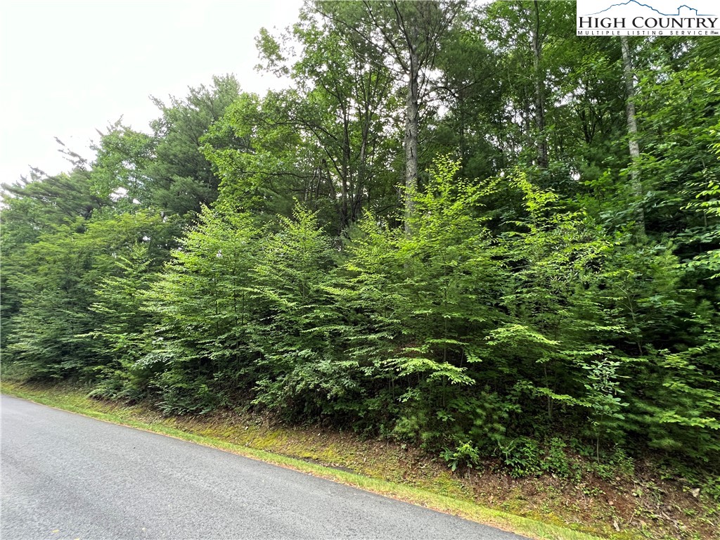 8 Woodland Ridge Lansing, NC 28643 - Photo 7 of 14 a view of a garden