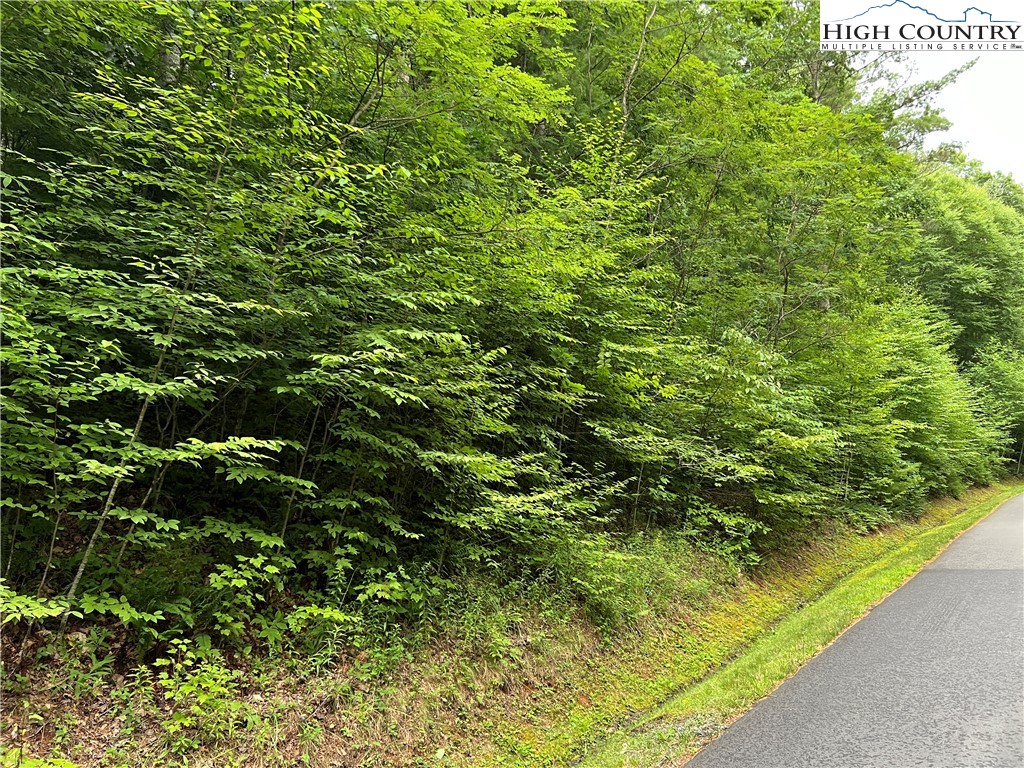 8 Woodland Ridge Lansing, NC 28643 - Photo 8 of 14 a view of a garden