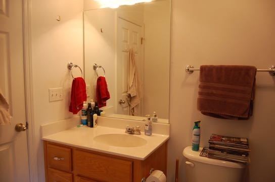 100 Lower Simmons Road Macon, GA 31220 - Photo 23 of 34 a bathroom with a sink and a mirror