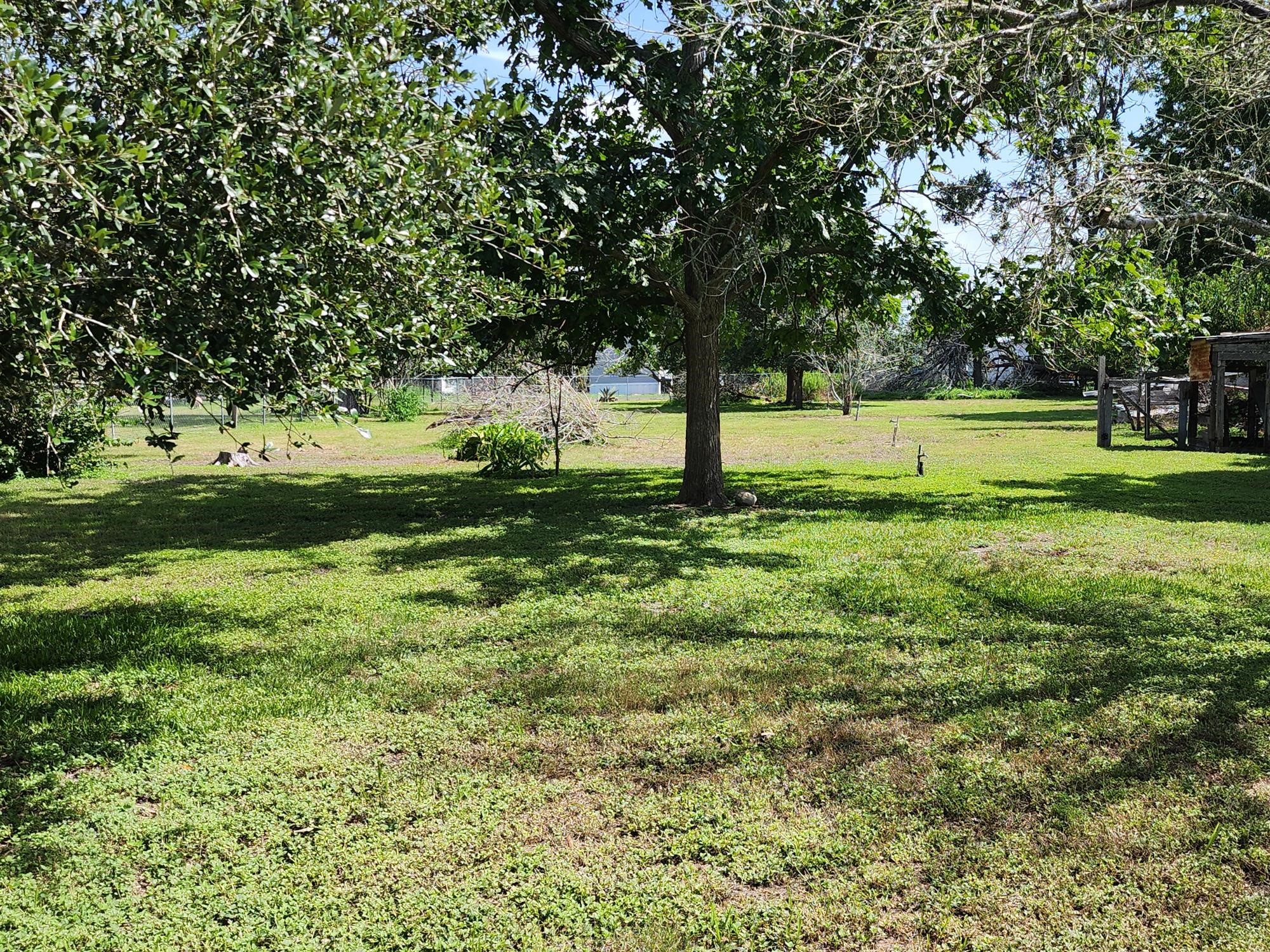612 Black Street Schulenburg, TX 78956 - Photo 2 of 16