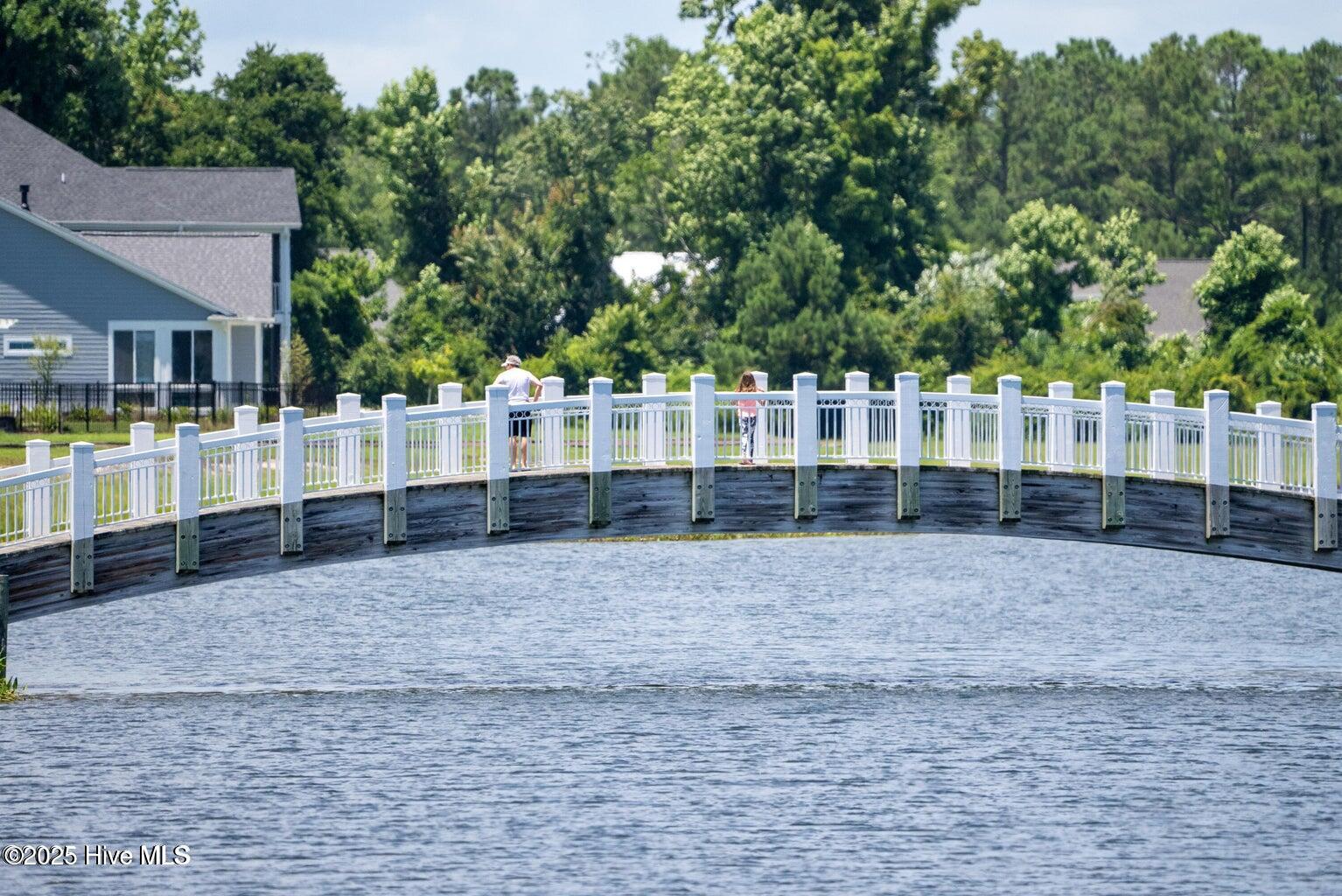 326 Spicer Lake Drive Holly Ridge, NC 28445 - Photo 28 of 32 20250702224928693633000000-o