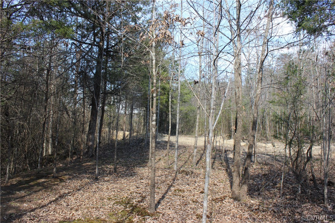 4621 3 Square Road Goochland, VA 23063 - Photo 13 of 16 Gallery Image 13