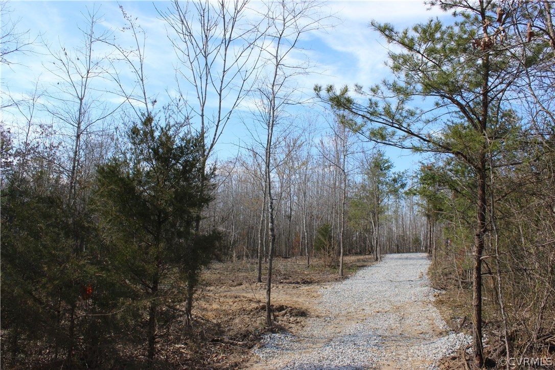 4621 3 Square Road Goochland, VA 23063 - Photo 15 of 16 Gallery Image 15