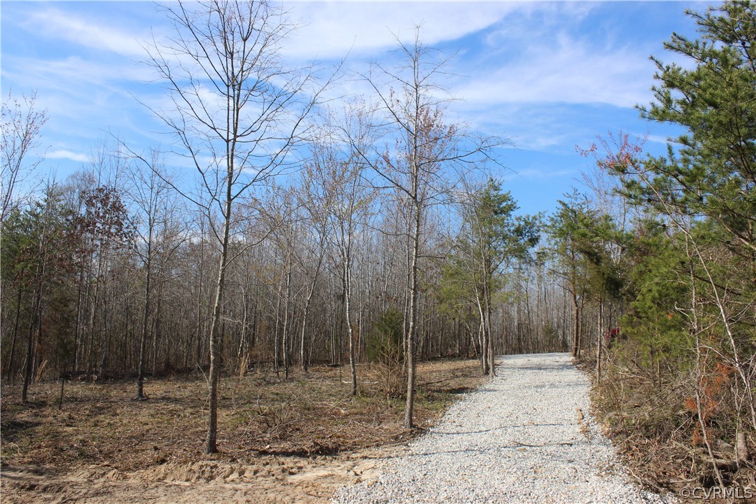 4621 3 Square Road Goochland, VA 23063 - Photo 3 of 16 Gallery Image 3
