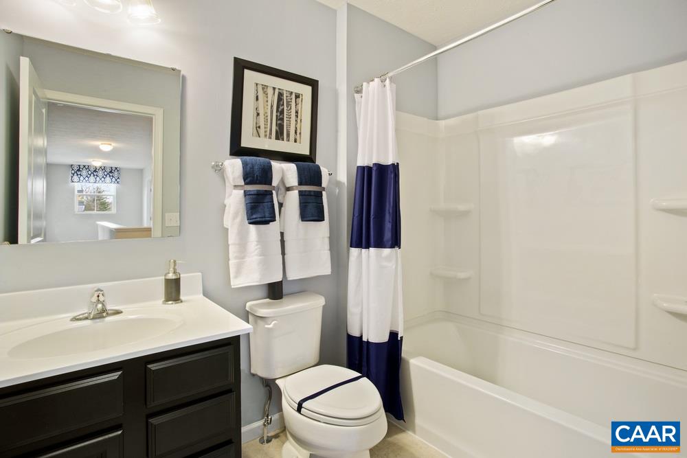 96 Oland Street Ruckersville, VA 22968 - Photo 12 of 18 a bathroom with a sink a toilet and shower