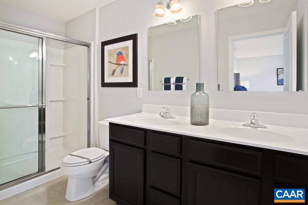 96 Oland Street Ruckersville, VA 22968 - Photo 9 of 18 a bathroom with a toilet a sink a mirror a vanity and shower