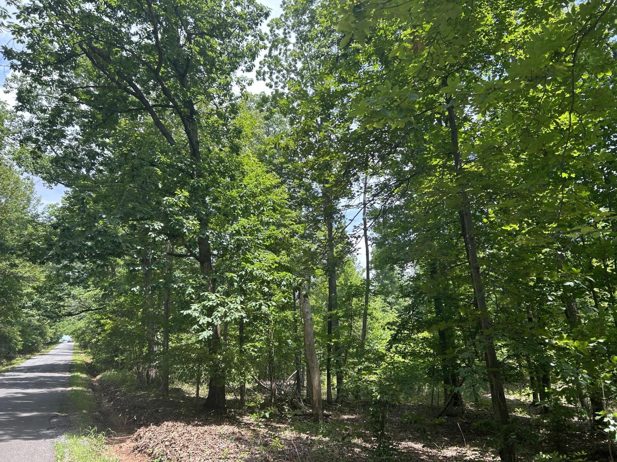 0 Buccaneer Road Moneta, VA 24121 - Photo 2 of 8 IMG_1160