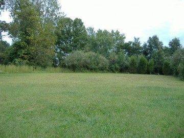 4330 South Rt 45 Harrisburg, IL 62946 - Photo 2 of 2 Gallery Image 2