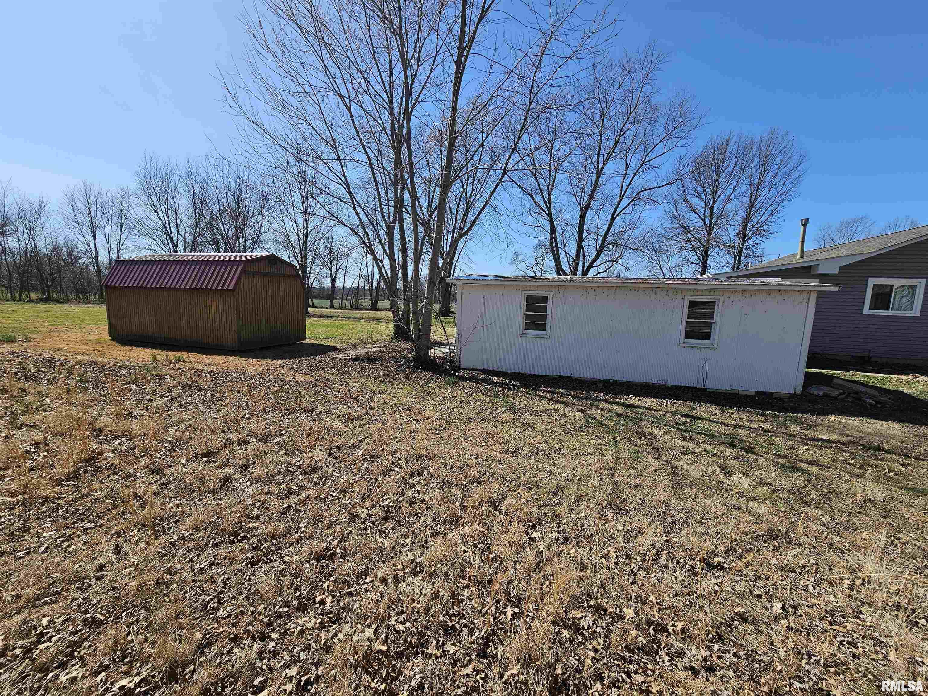 203 West Tamaroa Road Ina, IL 62846 - Photo 5 of 17