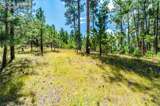 18685 Furrow Road Monument, CO 80132 - Photo 11 of 33 Gallery Image 11