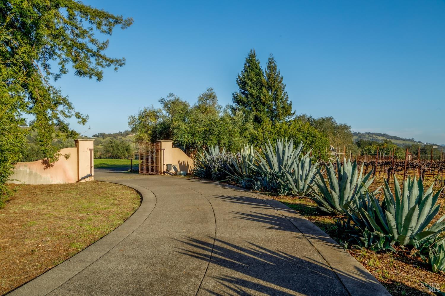 1980 Redwood Hill Court Santa Rosa, CA 95404 - Photo 12 of 49 a view of a yard with plants and trees