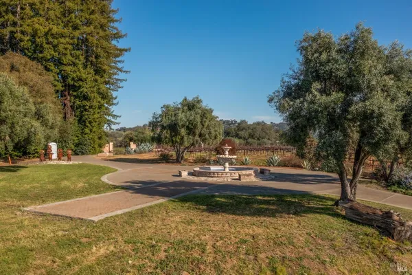 a view of a yard with swimming pool