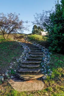 a view of a yard with wooden fence