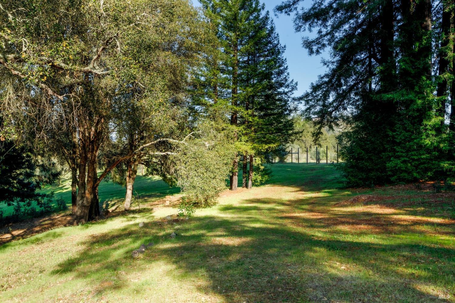 1980 Redwood Hill Court Santa Rosa, CA 95404 - Photo 24 of 49 a view of the trees with a yard