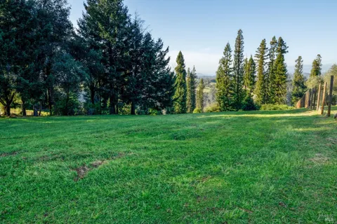 a view of a grassy field with trees in the background