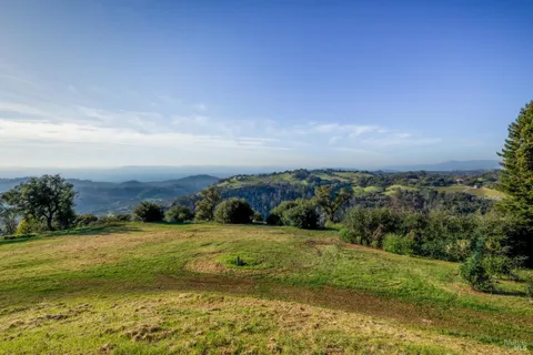 a view of a field with an ocean