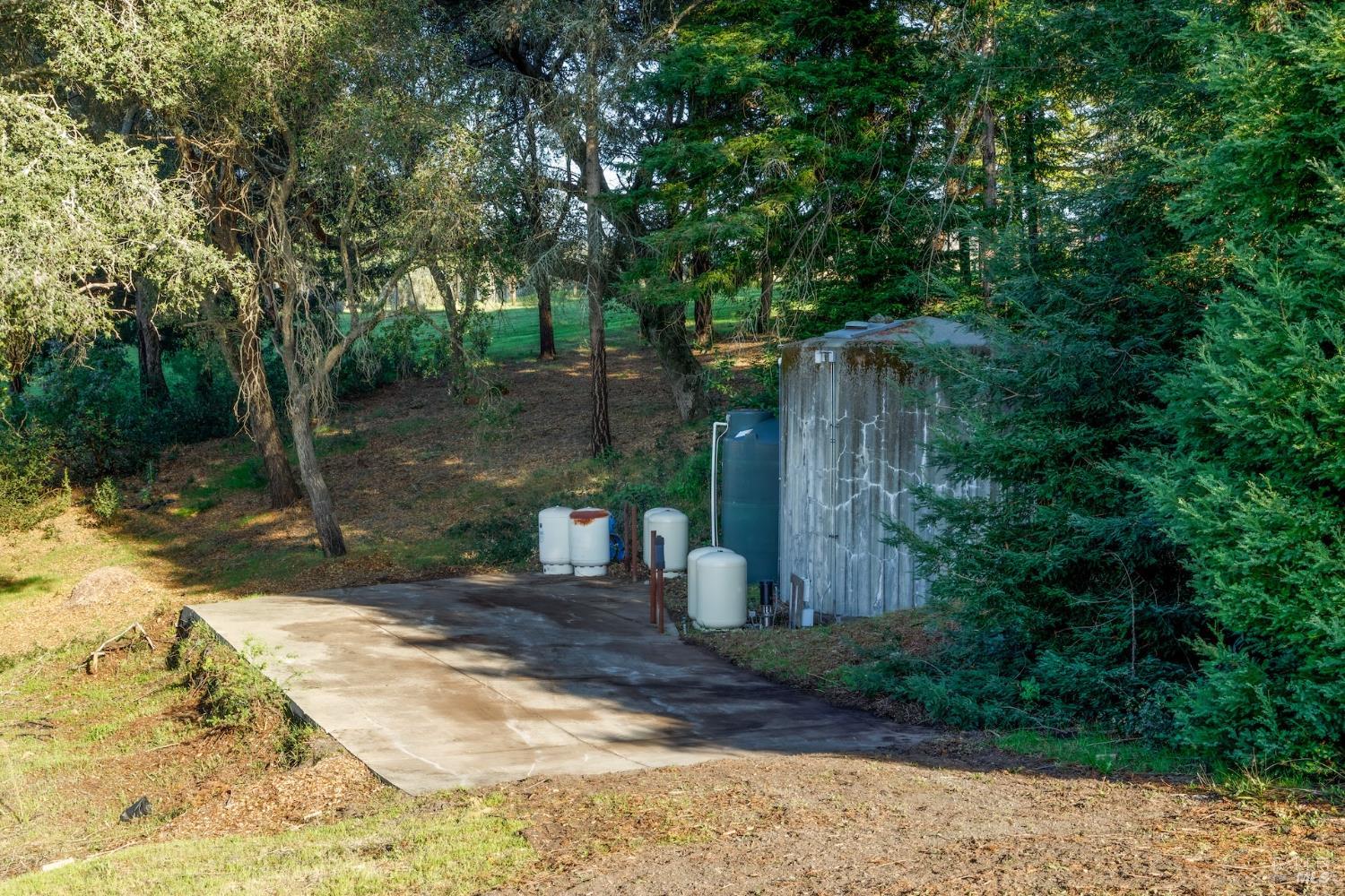 1980 Redwood Hill Court Santa Rosa, CA 95404 - Photo 28 of 49 a backyard of a house with lots of green space