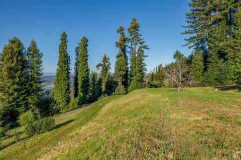a view of a yard with an trees