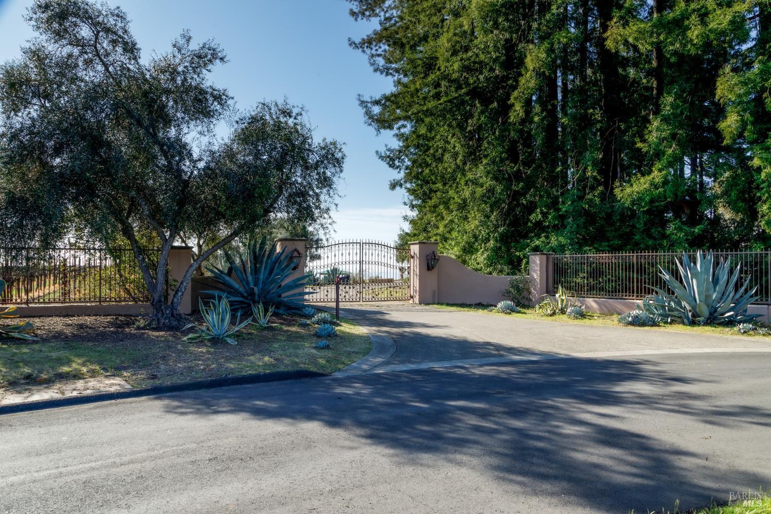 1980 Redwood Hill Court Santa Rosa, CA 95404 - Photo 3 of 49 a view of a yard with plants and trees