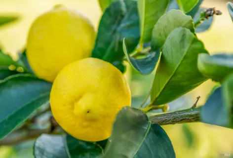a view of a swimming pool