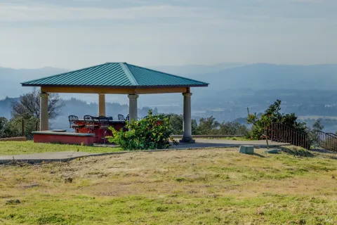 a view of a backyard with plants and a garden