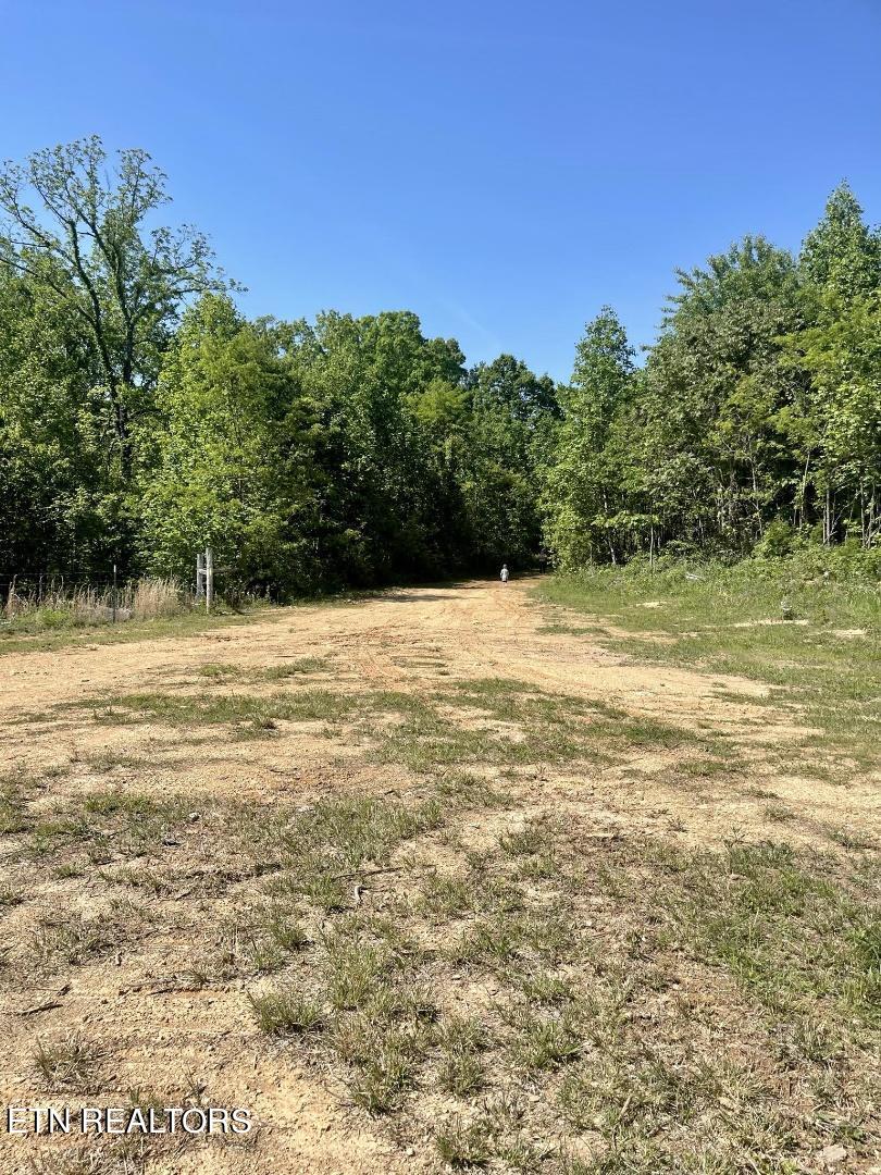 625 County Line Road Harrogate, TN 37752 - Photo 2 of 9 Resized_Messenger_creation_e72b5430-41bc