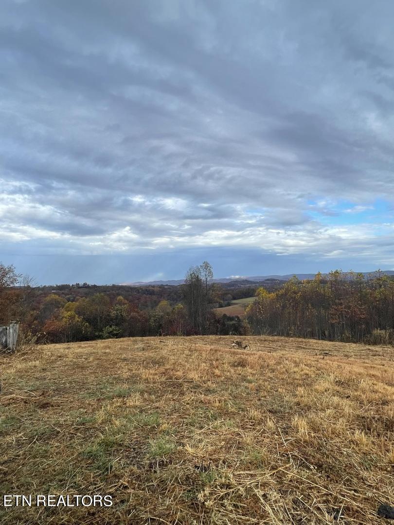 625 County Line Road Harrogate, TN 37752 - Photo 4 of 9 Resized_Messenger_creation_9d2fc962-85dd