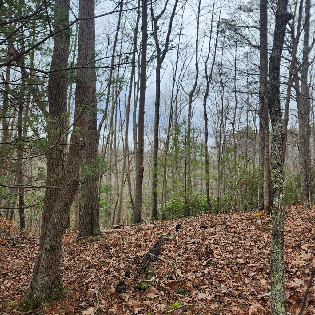 7.72-ac Tower Road Mineral Bluff, GA 30559 - Photo 10 of 16 Gallery Image 10