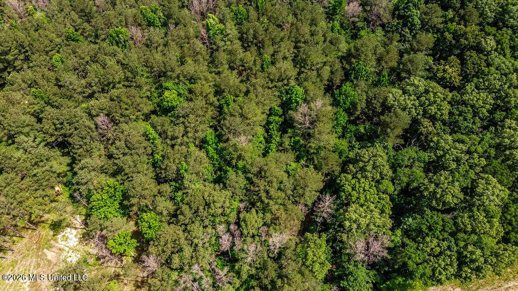 0 Highway 25 Brandon Ms 39042 Brandon, MS 39047 - Photo 5 of 10 watsonphotography250515144628