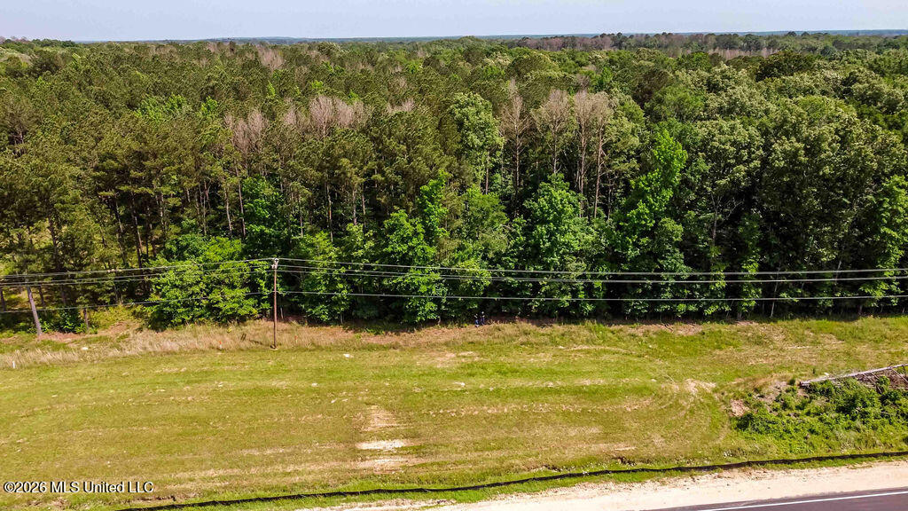 0 Highway 25 Brandon Ms 39042 Brandon, MS 39047 - Photo 8 of 10 watsonphotography250515145322
